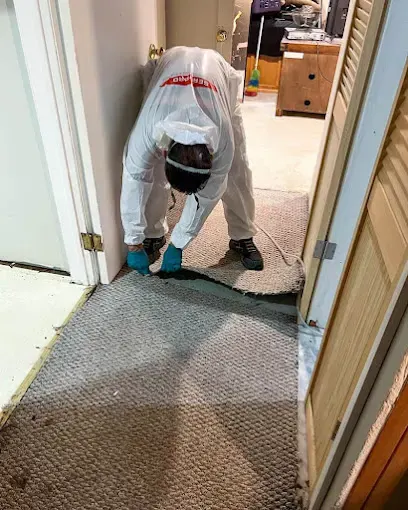 Technician in a protective suit pulling up wet carpet at a doorway in an East Elmhurst home