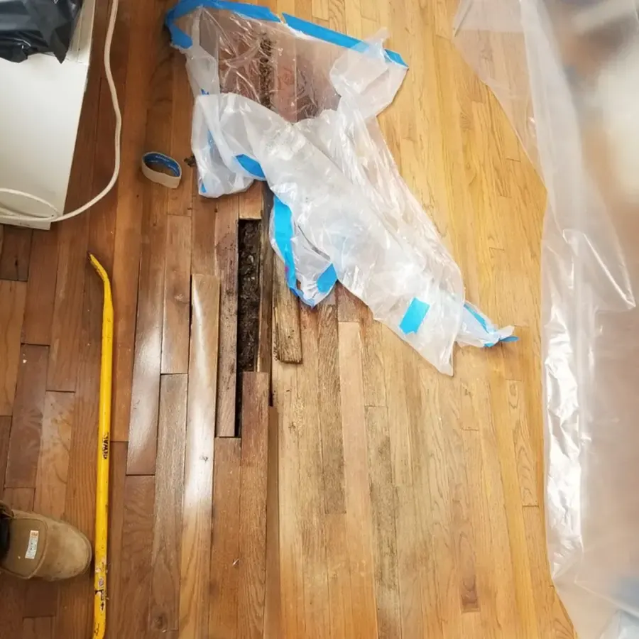Hardwood floor boards lifted and covered in plastic while the subfloor dries